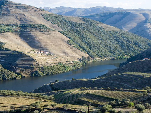 Portugal et Douro (du 09 au 16 octobre 2020)